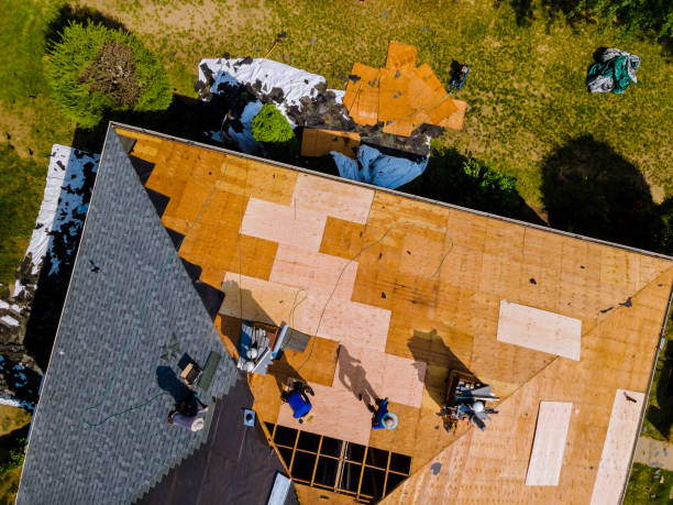 Professional Roofing Contractor in Rutherford, PA